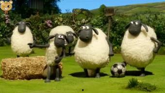 小羊爆料最新视频大全,最新视频大全精彩瞬间大盘点